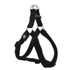 DOCO® Signature Step-In Harness - www.docopet.com