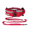 DOCO®Jogging Belt with Bungee Leash Hands Free Dog - www.docopet.com