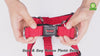 DOCO® Puffy Mesh Step-In Harness - www.docopet.com