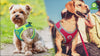 DOCO® Athletica Net mesh QUICK FIT Dog Harness