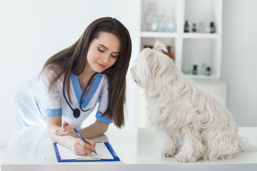 Preventing Bacterial Infections