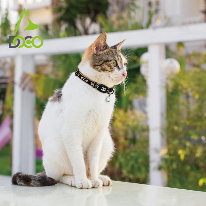 Let Your Kitty Enjoy Outdoors Safely With Easy Cat Harness