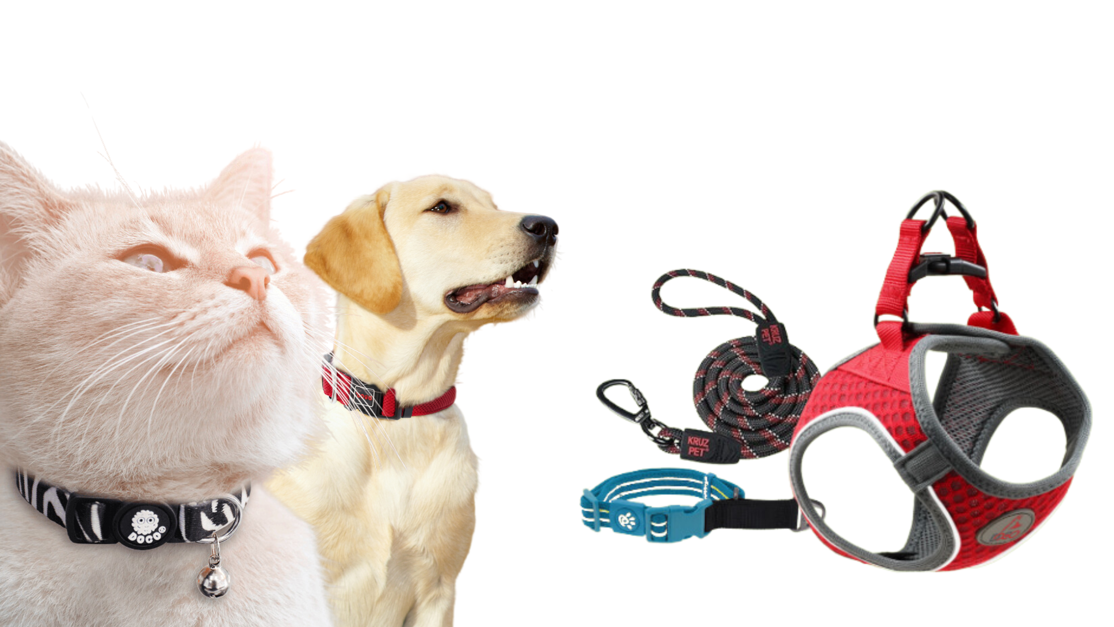 Dog Collars, Leashes, and Harness: Easy and Secure Walking and Training Solution for Your Pet