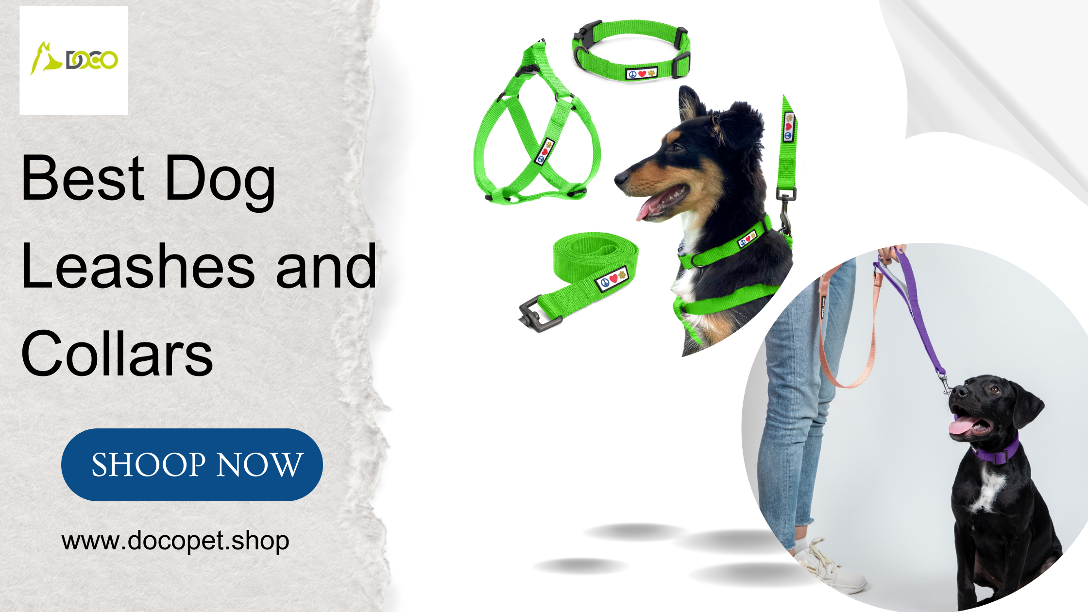 dog leashes and collars