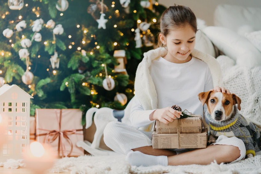Petcare in the Winter