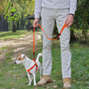 DOCO® 6ft Signature Nylon Dog Leash