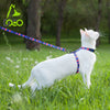 DOCO® Heat Transfer Cat/Dog Combo