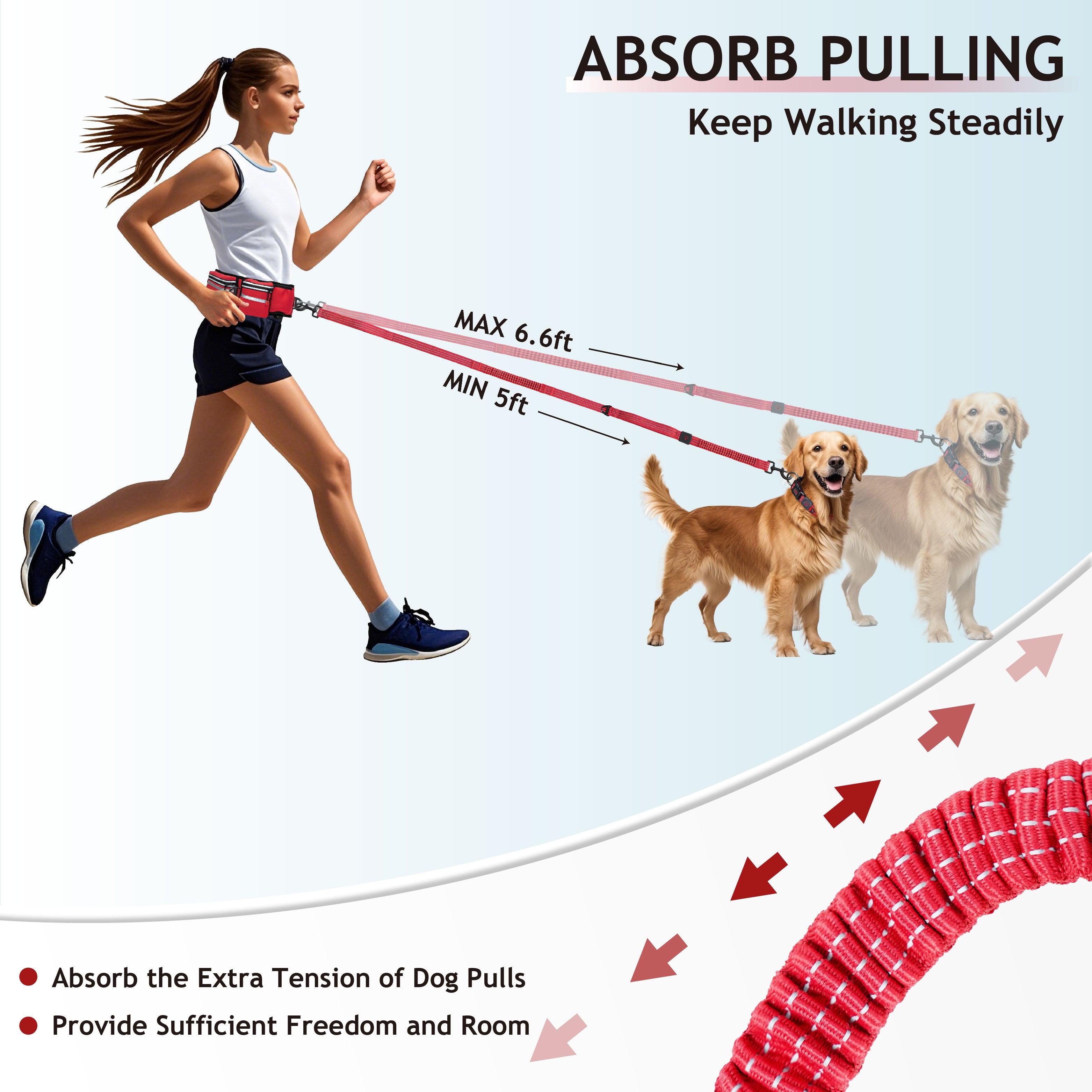 Hands-Free Reflective Jogging Belt & Bungee Leash – Adjustable Waist L –  www.docopet.com