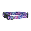 DOCO® Heat Transfer Cat/Dog Collar