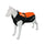 Safety Orange