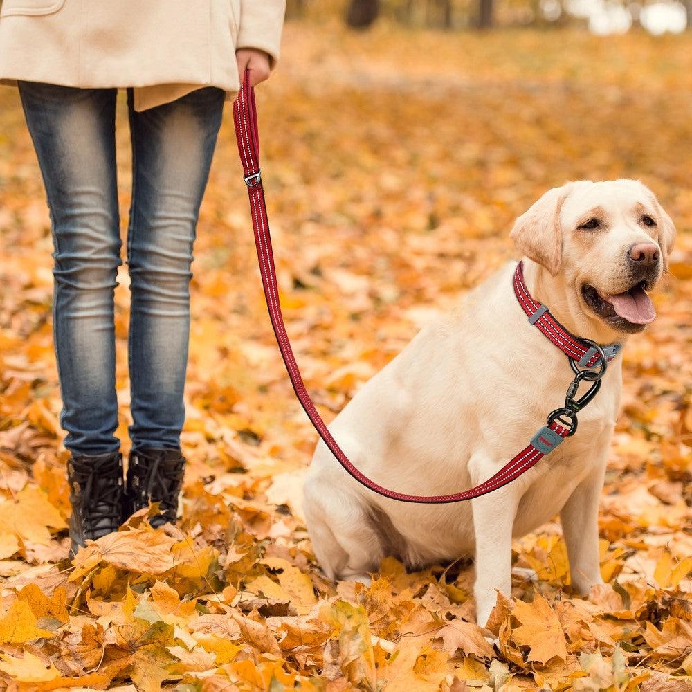 DOCO® VARIO Leash with Reflective Thread 4ft - www.docopet.com