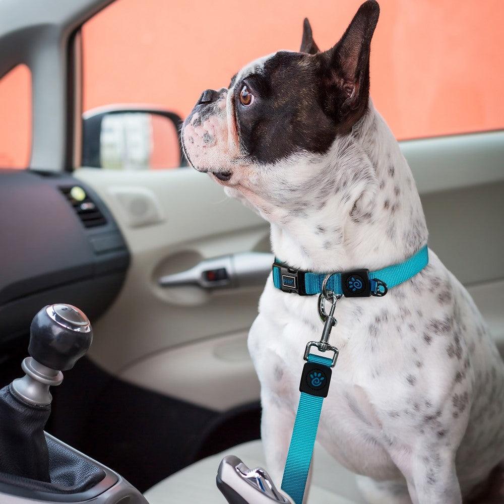 DOCO® Signature Nylon Car Safety Belt - www.docopet.com