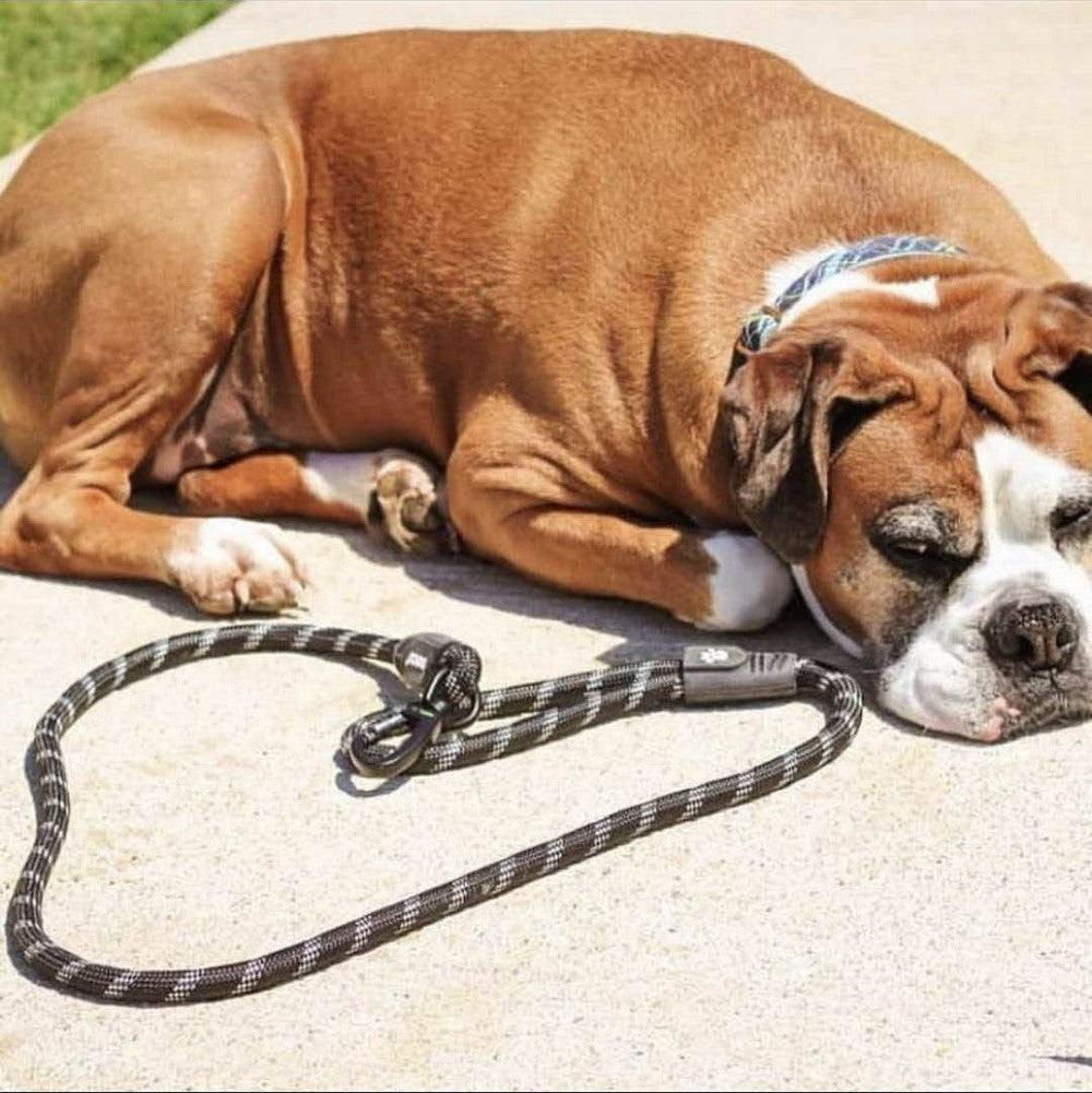 DOCO® 4ft or 5ft Reflective Rope Leash w/ Click & Lock Snap (1/2" Width) - www.docopet.com
