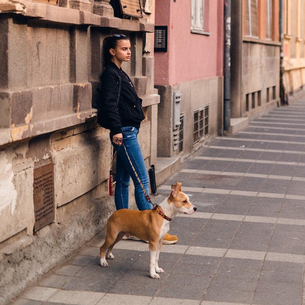 DOCO® LOCO Leash - 5ft - www.docopet.com