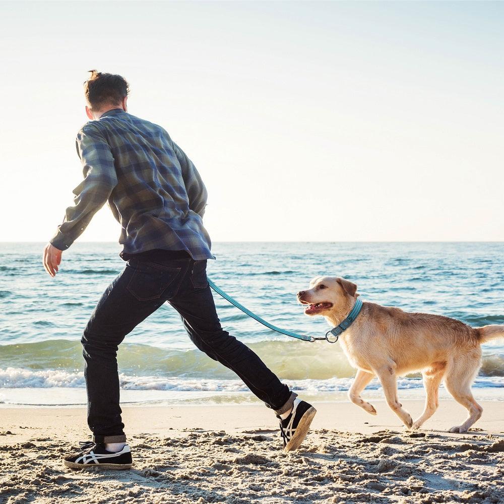 DOCO® VARIO Leash with Reflective Thread 6ft - www.docopet.com