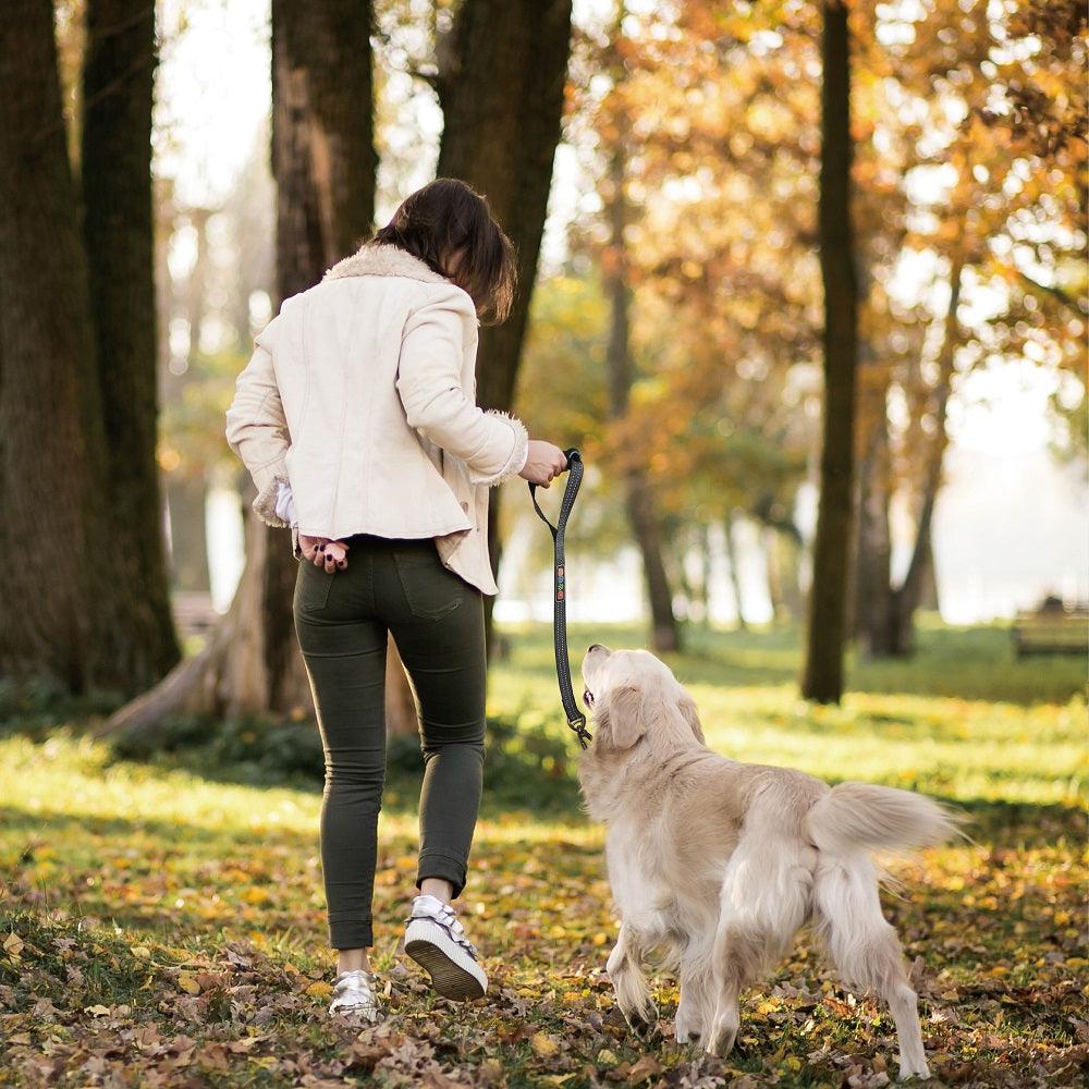 DOCO® VARIO ERGOCURVE Leash - 20" - www.docopet.com
