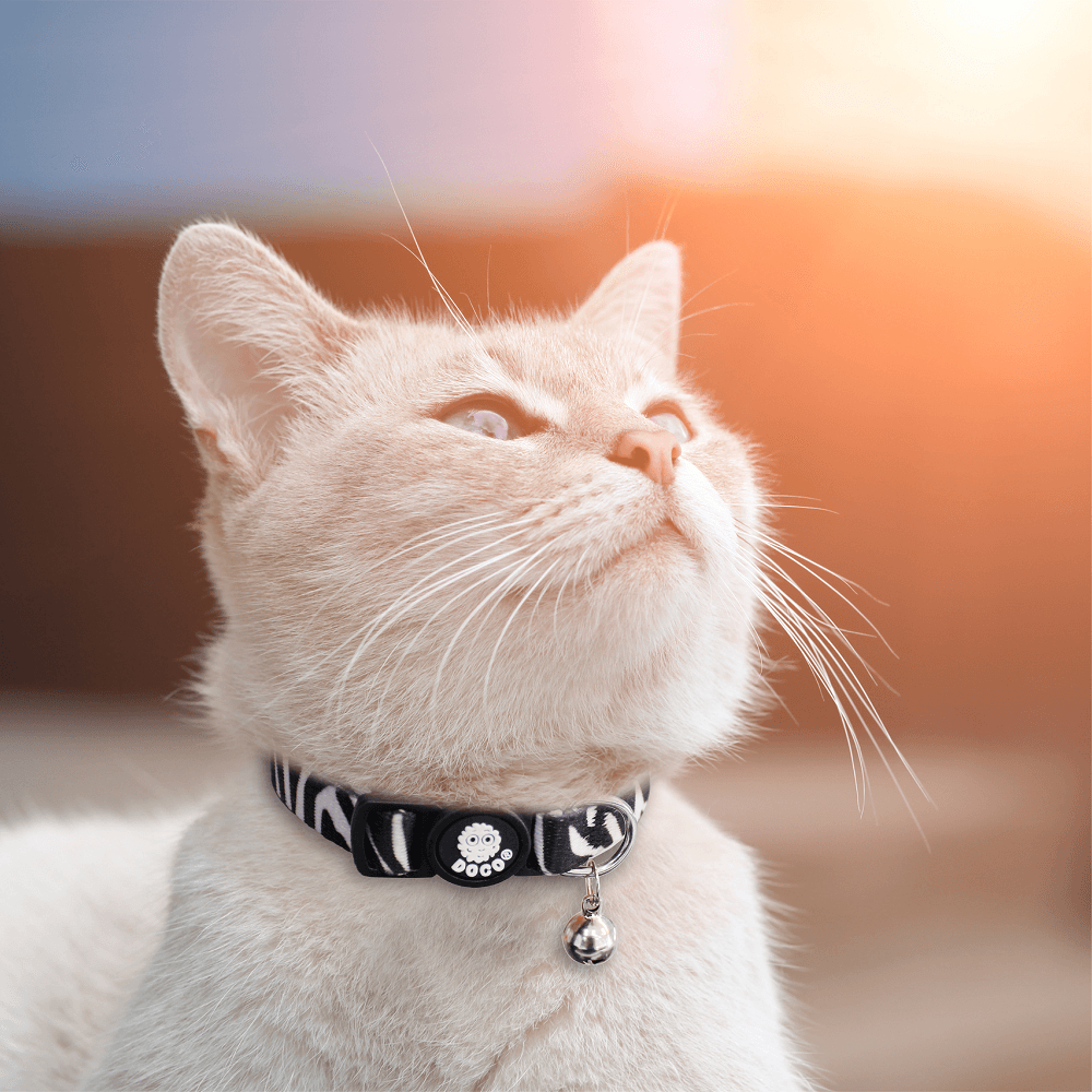DOCO® LOCO Cat Collar - Pattern Printed - www.docopet.com