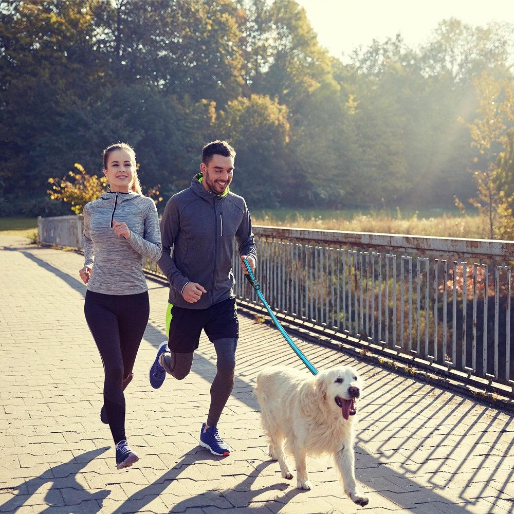 DOCO® Athletica Easy-Snap™ Air Leash - 6ft - www.docopet.com