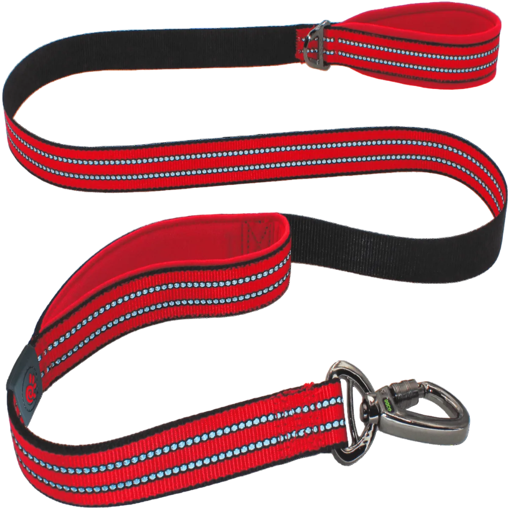 DOCO® VARIO Double Handle Walking/Traffic Leash - www.docopet.com