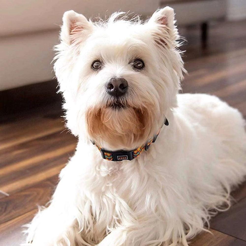 DOCO® LOCO Collar - www.docopet.com