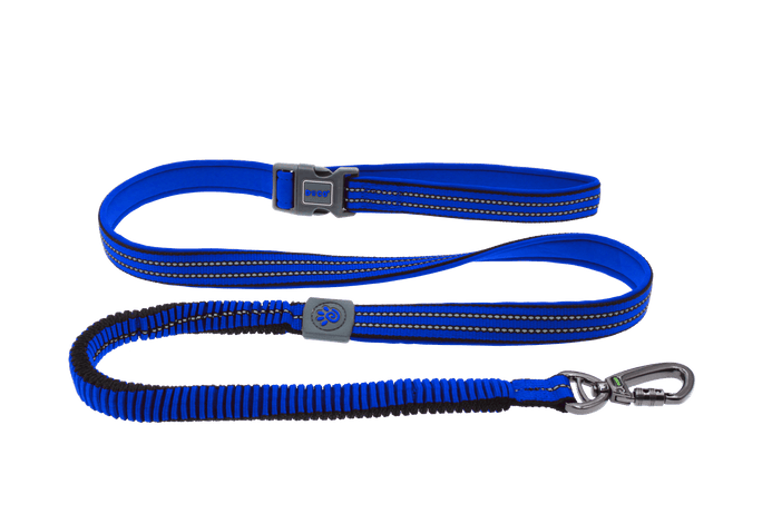 Leash Torsadé Coasto 10' (300 Cm) Pour SUP – 8 Mm D'épaisseur, Attache Velcro, Sécurité Et Confort Pour Paddle Balade Ou Course