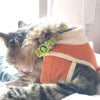 DOCO® LOCO Cat Collar - Pattern Printed - www.docopet.com