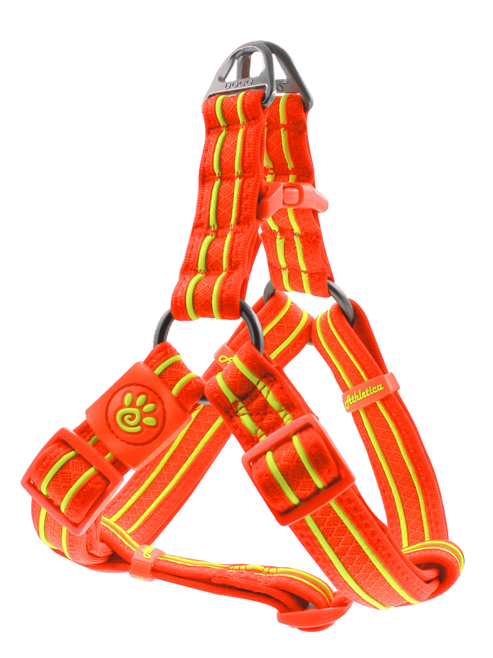 harnesss8_693x.png?v=